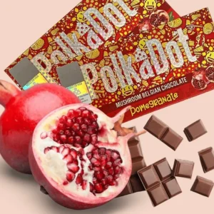 Polkadot Pomegranate Dark Chocolate Bar