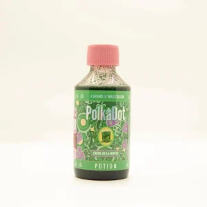 Polkadot Potion Creme De La Menthe